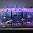 항도덤프 이미지