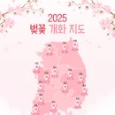 2025 벚꽃 개화 지도 이미지