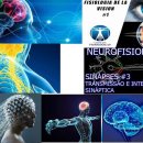 신경생리학 전문의 과정 (neurofisiologia)에 결국은 밟게 되었다. 이미지