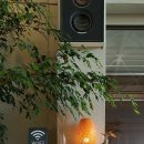 동해-단속-33 | 3일간의 강원도 나들이_강릉 탑스텐호텔 금진온천&amp;동해횟집&amp;속초 울산바위뷰 카페 시드누아&amp;춘천우성...