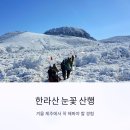 한라산 선작지왓 | 한라산 눈꽃 산행, 겨울 제주에서 꼭 해봐야 할 경험