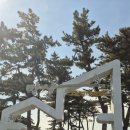 동해리조트 | 동해망상리조트🌊두번째 다녀온 솔직후기/동해망상해변한옥촌🛖/동해 한옥마을 복층연립(일반형)