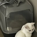 맹글맹글