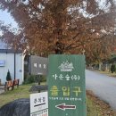 다온숲 | [세종 글램핑] 대전 근교 세종 글램핑 캠핑 다온숲 내돈내산 솔직 후기