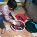 함박레져 이미지