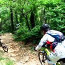 우면산3-23 이미지