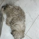 (주)대우자동차 | 이집트 여행기 DAY5: 가이드한테 삥 뜯긴 썰 (밥말리 서안투어 후기-왕가의 계곡, 장제전)