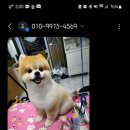 멍뷰티샵 이미지