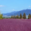 성흥농원 이미지