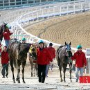 마분공원 이미지