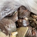 목동힐스테이트(아) 경로당 | 옥이떡볶이 동탄 현지인 입소문 자자한 목동 떡볶이 맛집