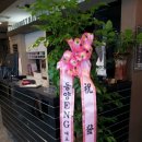 리안트리
