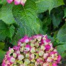 서귀중앙골프연습장 이미지