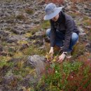 이상원농장 이미지