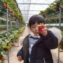 태건농장 이미지