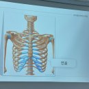 대원산소 | [심폐소생술] 강동구보건소 심폐소생술 교육 후기