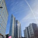 테넌바움294 이미지