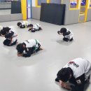 명지대 박사 합기도 연무관 이미지