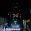 한국관 성인 나이트 이미지