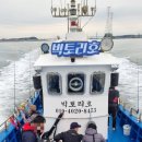 영흥도배낚시 빅토리호