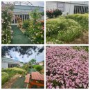 카페인운봉 이미지