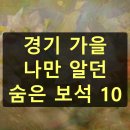 선인농장 | 경기도 가을여행 숨겨진 명소 BEST 10