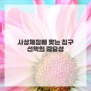 수원침구