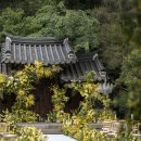 헬렌하우스 이미지