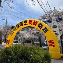 대가면 다목적복지회관 | [2026 청풍호 벚꽃축제] 제천 청풍호 벚꽃축제 실시간(26.04.05) 개화상황 / 포토스팟 / 주차꿀팁