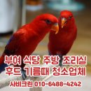 부여대우식당 | 부여 식당 후드 기름때 청소 주방 고압팬 환풍기 교체 시공