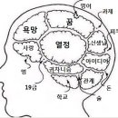 Re:자신의 뇌구조 그리기 포로리편 이미지