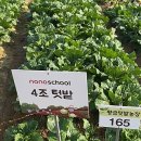 길용 농장 이미지