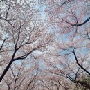 바로고침한의원 이미지