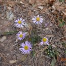 자은초등학교 병설유치원 이미지