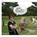 옥공인중개사사무소 이미지