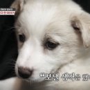 (주)코비 이미지