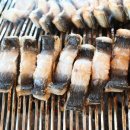 숲이랑장어랑