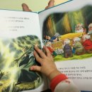 탄탄하우스 이미지