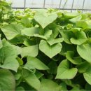 종순농장 이미지