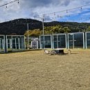 패디필드358 이미지