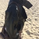 강원지주(주) | 20260117 in Gangneung