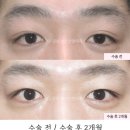 서연성형외과의원 이미지