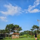 유신환경 | [골프 라운딩] 다시 찾은 서평택 골프클럽, 자동주행 카트와 코스 후기 (서평택CC / 서평택 파3)