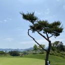 씨사이드 골프장 건너편 | 경도CC] 여수 경도섬을 일주하는 우리나라 씨사이드 대표코스 세이지우드경도CC 1박2일 라운드 후기 및...