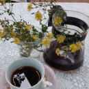 소통과 힐링의 시창작 이미지