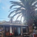 신산로 | 제주 동문시장 맛집 십칠일ㅣ제주 감성 가득한 한식 퓨전 식당 후기