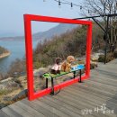 똥강아지 애견 | 애견동반 여행 충주 비내섬 카페도 있네요