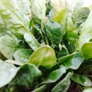 김정태 농장 이미지