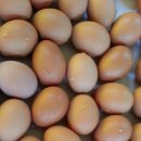 맥섬석의료기 이미지