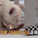 루카농장 이미지